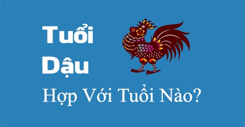 2. Nam 1993 hợp với tuổi nào?