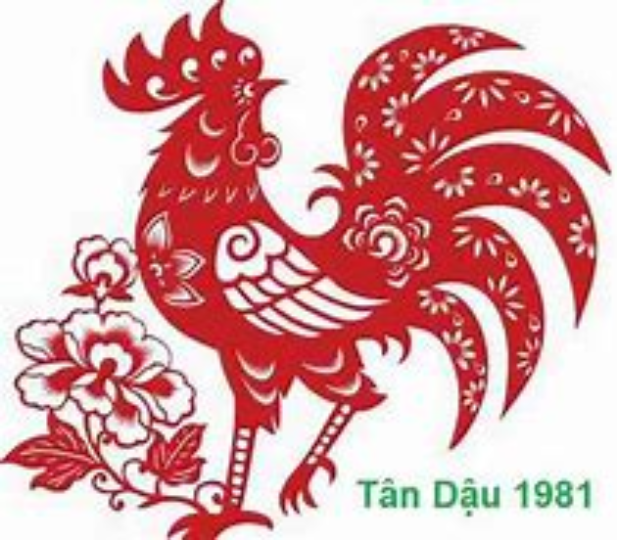 Sơ lược về tử vi tuổi dậu 1981