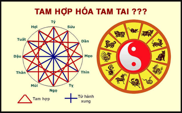 Định nghĩa tam hợp là gì?